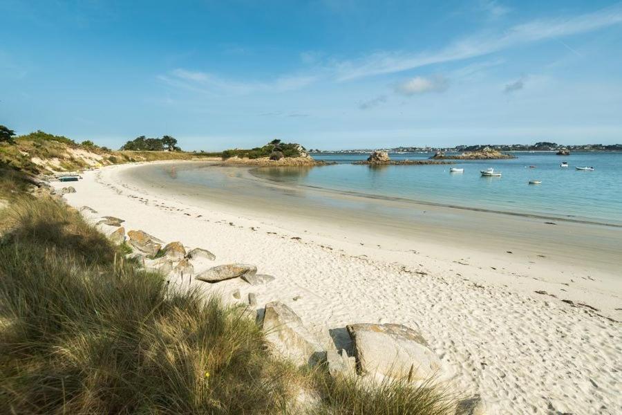 Appartement Cosy Roscoff 50 M Plage Thalasso Wifi Parking Exteriör bild